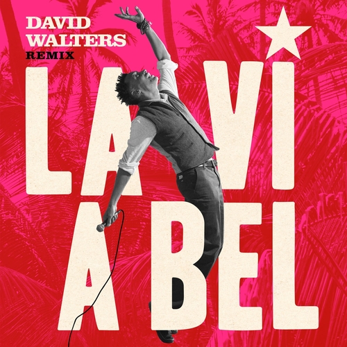 David Walters - La Vi A Bel (David Walters Remix) [HS254]